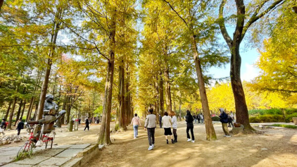 🇰🇷 Tour Hàn Quốc 4N4Đ: Seoul – Nami – Everland – Gyeongbokgung - Image 4