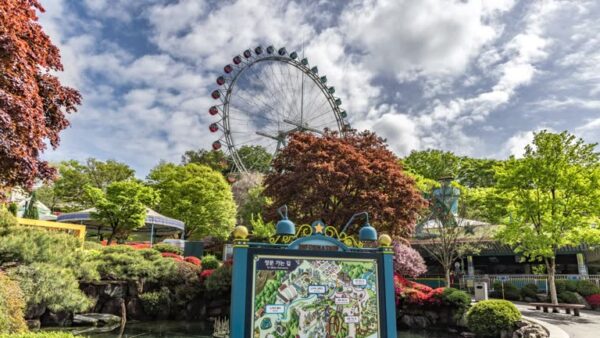 🇰🇷 Tour Hàn Quốc 4N4Đ: Seoul – Nami – Everland – Gyeongbokgung - Image 2